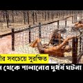 The King Of Jailbreakers Movie Explain In Bangla|Survival|Thriller|The World Of Keya