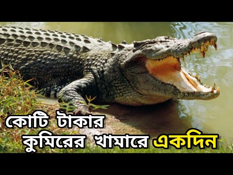 কুমিরের খামার | Only Crocodile farm in Bangladesh