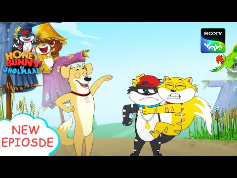 बिल्लियों से सावधान | Funny videos for kids in Hindi | बच्चों की कहानियाँ | हनी बन्नी का झोलमाल