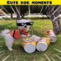 Cute dog moments | Part-11 | funny dog videos in Bengali| #shorts #shortvideo #funny