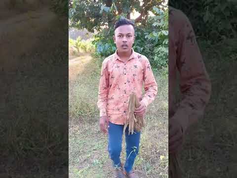 Raju comedy। bangla funny video 😂। #shorts #ytshorts #viral ‎@Raju Comedy Nabinpur 