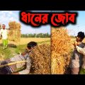 ধানের জোব; এমন হয়েছে কখনও আপনার? | Bangla Funny Video | Hello Noyon