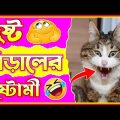 🤣 দুষ্ট বিড়ালের দুষ্টামী😂 Part 6😂 হাস্যকর ঘটনা🤣 Funny Animal Bangla 😆 Funny Video #shorts