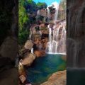 Proot Falls, Cherrapunji #shorts #meghalaya #waterfall #india #travel #travelindia #bangladesh