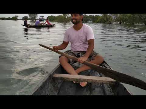 Boating in Tanguar haor টাঙ্গুয়ার হাওরে নৌকা চালানো #travel #bangladesh #mainultawhid