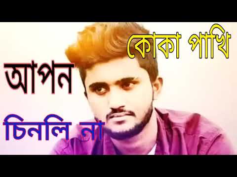 Boka Pakhi |2 🐦 Bangla song| পাখি আমার বোকানা |Atif Ahmed Niloy | Bangladesh album Gaan| Bangla Sad