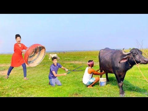 New Funny Video | Bangla Funny Video  Non Stop Laughing Funny Videos  Episode 101@MYFAMILYComedy