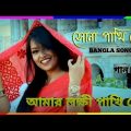 Amar sona pakhi go | Amar lokhi pakhi go bangla song #DMLOVEMEBOY🎵🎶💓💓আমার সোনা পাখি গো আমার লক্ষী..