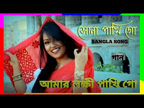 Amar sona pakhi go | Amar lokhi pakhi go bangla song #DMLOVEMEBOY🎵🎶💓💓আমার সোনা পাখি গো আমার লক্ষী..