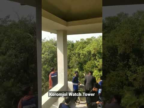 Koromjol Watch Tower | করমজল সুন্দরবন | Bangladesh Traveling #shorts #viral #travel