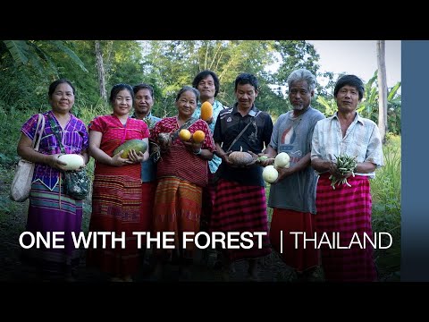 Pwo Karen of Thailand: Farming as one with the forest