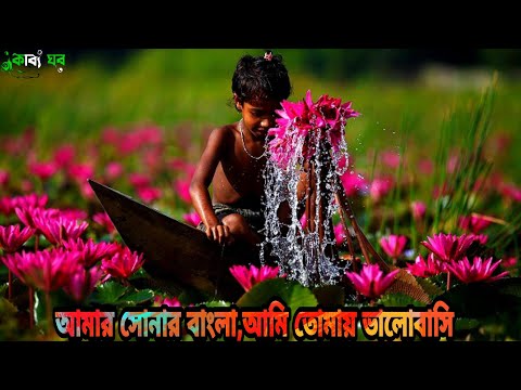 amar sonar bangla ami tomay bhalobashi|Bangladesh National song