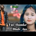 Tui Hamke Bhule Ja / Kanika Karmakar/Kundan Kumar / Puruliya Virel Sad Song #viral #youtube #vlog