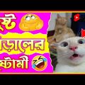 🤣 দুষ্ট বিড়ালের দুষ্টামী😂 Part 9😂 হাস্যকর ঘটনা🤣 Funny Animal Bangla 😆 Funny Video #shorts