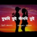 বুঝবি তুই কাঁদবি তুই 🥀🥺  (Slowed × Reverb) Lofi music🥀 Bangla latest song 2022