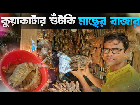 কুয়াকাটার শুঁটকি বাজার | Dry Fish market Kuakata | Explorer Shibaji in Bangladesh 2022