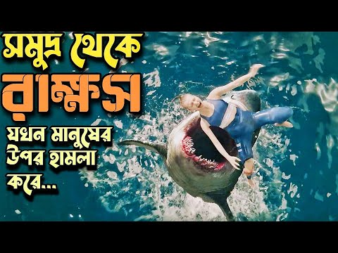 Movie Explain In Bangla 😮| Escape Of Shark | Chinese Movie |