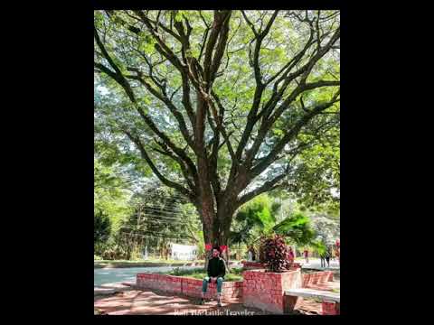 Bangladesh Calling/Travel Bangladesh /Come to Bangladesh #shorts #hashtag #video #viral #travel