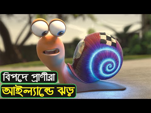 দ্বীপে প্রচন্ড ঝড়ের কবলে পরলো প্রাণীরা-Animated Movie Explained in Bangla-Animation Movie-Films Ford