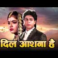 Dil Aashna Hai Full Movie 4K – दिल आशना है (1992) – Shah Rukh Khan – Divya Bharti