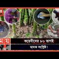 EXCLUSIVE: রাজধানী থেকে প্রত্যন্ত গ্রাম সর্বত্র মাদকের ছড়াছড়ি! | Drugs in Bangladesh | Dhaka