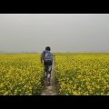 হলদে বাংলাদেশ (Yellow Bangladesh)😲😲#travel 🚗