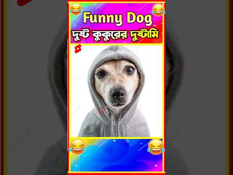 🤣 দুষ্ট কুকুরের দুষ্টামী😂 Part 4😂 হাস্যকর ঘটনা🤣 Funny Animal Bangla 😆 Funny Video #shorts