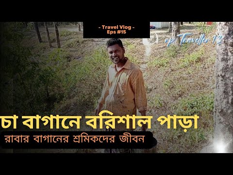 💥রাবার বাগান শ্রমিকদের কষ্টের জীবন ও প্রতিদিনের কাজ,rabar bagan Bangladesh