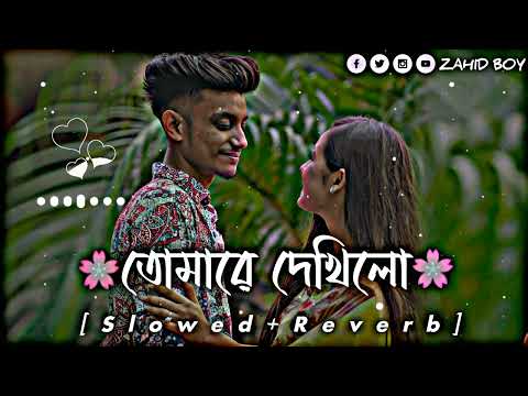 Tomare Dekhilo।তোমারে দেখিলো। Bangla lofi song। Bangla Song 2023