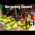 Bargaining Coconut In Bangladesh | Experiencing Rural Village In Bangladesh