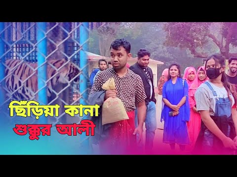 চিড়িয়াখানায় ঘুরতে গেলো প্রথম বার শুক্কুর আলী। | New Bangla Natok | Borojamai