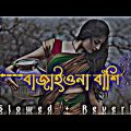 বাজাইওনা বাঁশি ~ Lo-fi | Bajaio Na Bashi (Slowed Reverb) Bangla Viral Song