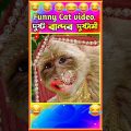 🤣 দুষ্ট বান্দরের দুষ্টামী😂 Part 1😂 হাস্যকর ঘটনা🤣 Funny Animal Bangla 😆 Funny Video #shorts