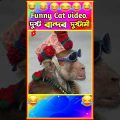 🤣 দুষ্ট বান্দরের দুষ্টামী😂 Part 2😂 হাস্যকর ঘটনা🤣 Funny Animal Bangla 😆 Funny Video #shorts