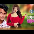 চায়না জামাই । China Jamai । New Bangla Comedy Natok 2021 । Shamim । STM