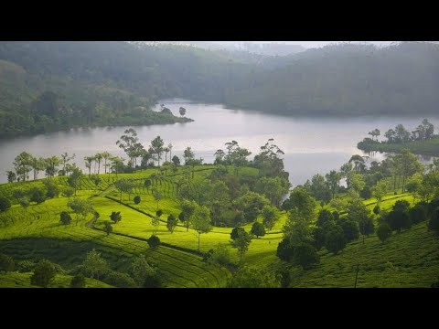 Short video from tour | Best short video |  top travel location in Bangladesh