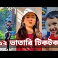 Bangla 💔 Tik Tok Videos | চরম হাসির টিকটক ভিডিও (পর্ব- ৩৪) | Bangla Funny TikTok Video | SBF TIKTOK