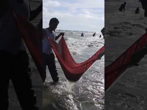 #shorts #trending Travel With Shaon Halder. Kuakata Sea Beach Bangladesh. #travel