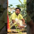 bangla comedy || gopen comedy || best funny video #shorts