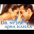 Dil Ne Jise Apna Kahaa Full Bollywood Movie | Salman Khan, Preity Zinta, Bhumika Chawla, Riya Sen