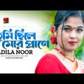 Tumi Chile Mor Prane | তুমি ছিলে মোর প্রাণে | Adila Noor | New Bangla Song 2023 | Music Video 2023