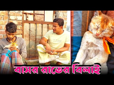 বাসর রাতের বিড়াল মা*রার রহস্য উন্মোচন | Bangla Funny Video | Hello Noyon