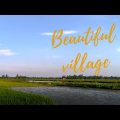 Beautiful village in Bangladesh | Folk Music | Natural Bangladesh | Pure Nature Everyday