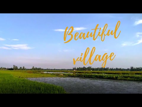 Beautiful village in Bangladesh | Folk Music | Natural Bangladesh | Pure Nature Everyday