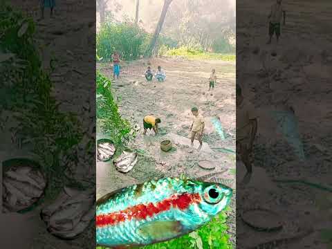Fish Caching Unique Way #travel #bangladesh