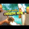 শুকুর আলীর বোয়াল মাছ । বাংলা কমেডি নাটক 2022 | New Bangla Natok | Borojamai
