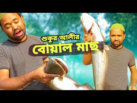 শুকুর আলীর বোয়াল মাছ । বাংলা কমেডি নাটক 2022 | New Bangla Natok | Borojamai