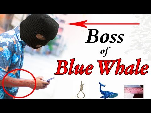 ব্লু হোয়েল সুইসাইড গেম | Boss Of Blue Whale Game | Bangla Funny Video ( blue whale bangladesh)