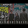 স্বার্থলোভী প্রিয়া|Sartholoboi Priya|(Slowed Reverb)Lofi Bangla Song
