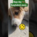Dogy Dog poppy Top trending song bangla Bangladesh viral music
